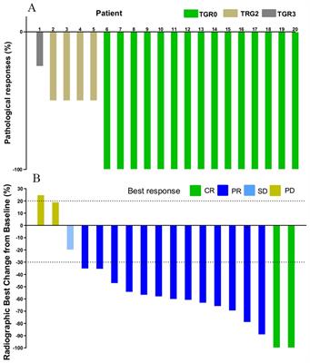 Pathological response following neoadjuvant immunotherapy and imaging characteristics in dMMR/MSI-H locally advanced colorectal cancer